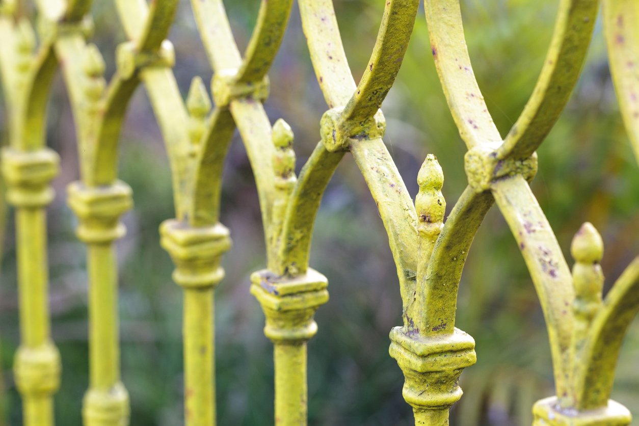 Photo of painted iron fence